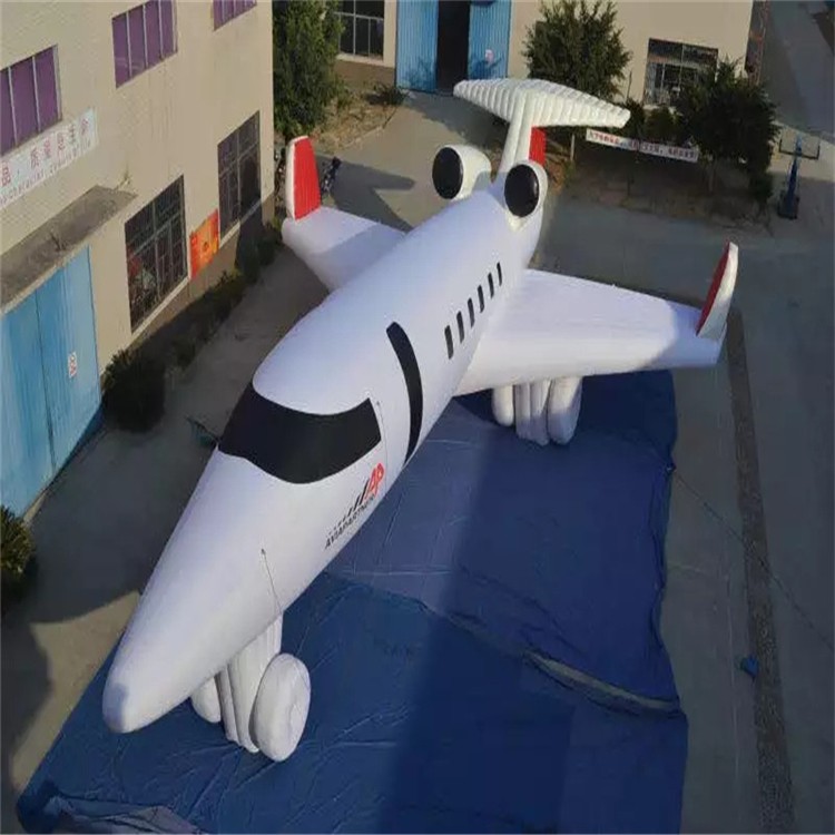 湖南充气模型飞机